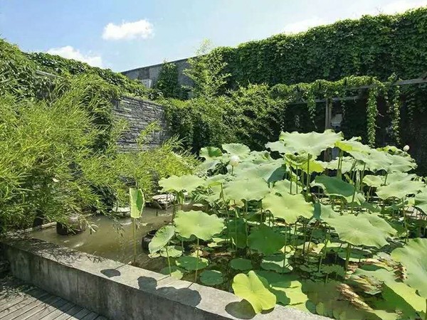 富阳校区校园一角