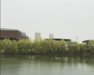 校园照(图1)