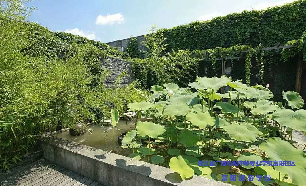 富阳校区校园一角(图1)