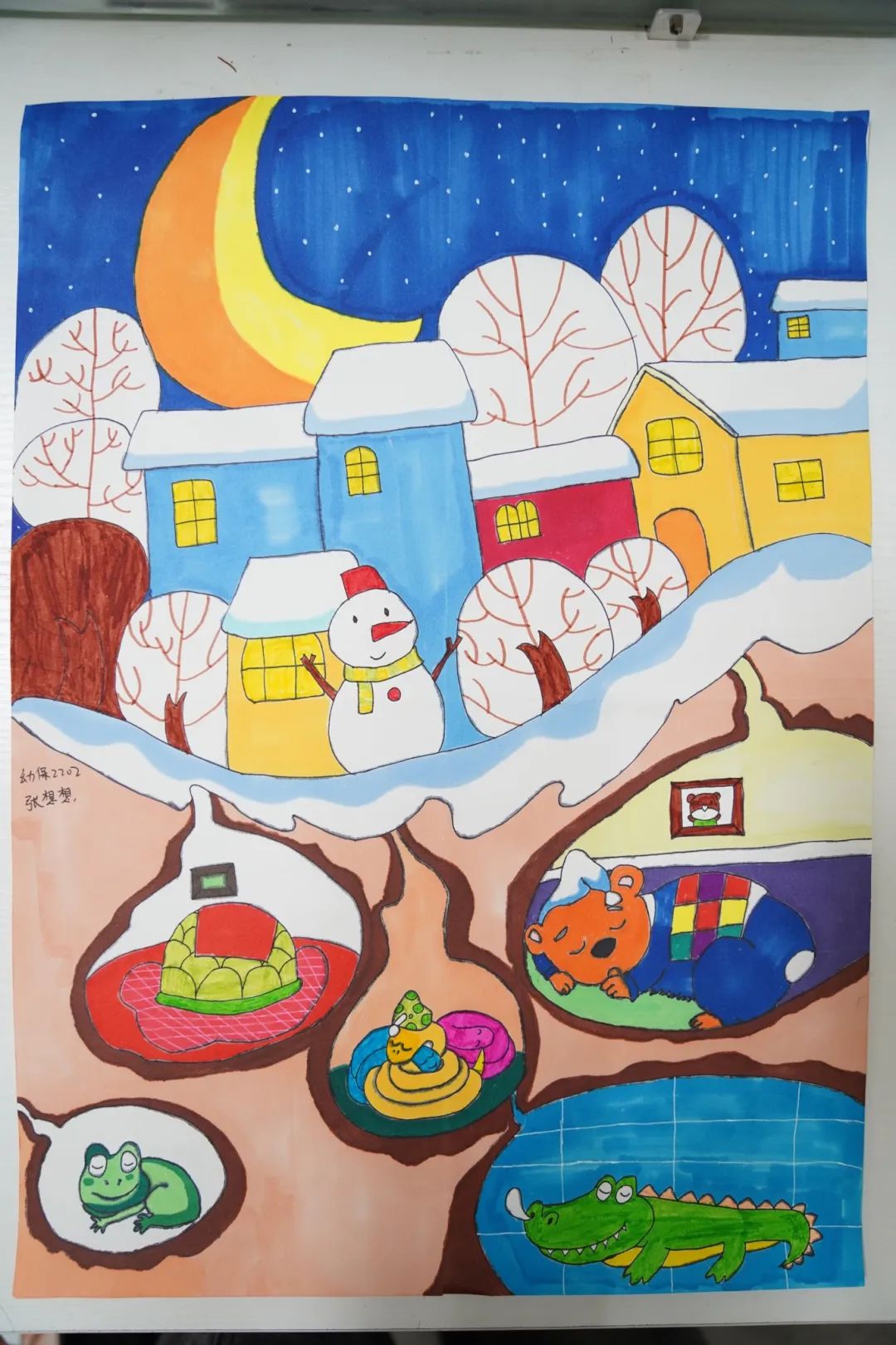 向阳而生 逐光而行 | 我校富阳校区幼儿保育专业优秀作品展(图3) 向阳而生 逐光而行 | 我校富阳校区幼儿保育专业优秀作品展(图3)